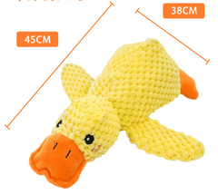 Canard apaisant