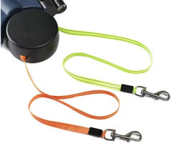Laisse double automatique pour chien