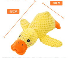 Canard apaisant